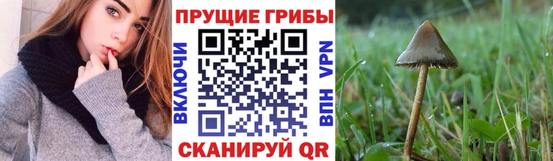 Галлюциногенные грибы MAGIC MUSHROOMS Невель